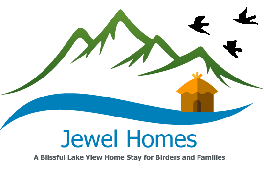 Jewel Homes Thattekad